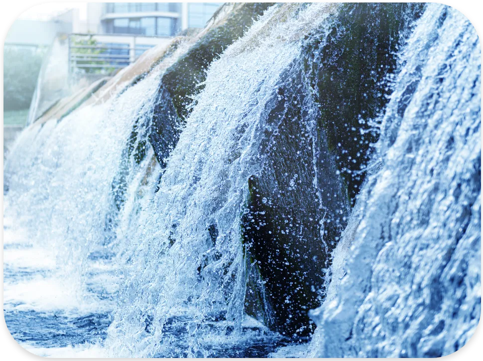 Built on Practical Wastewater Experience experienced professionals with expertise in wastewater treatment, environmental systems, nutrient recovery, and livestock farming.