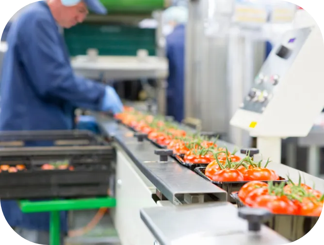 Food Processing Waste Treatment